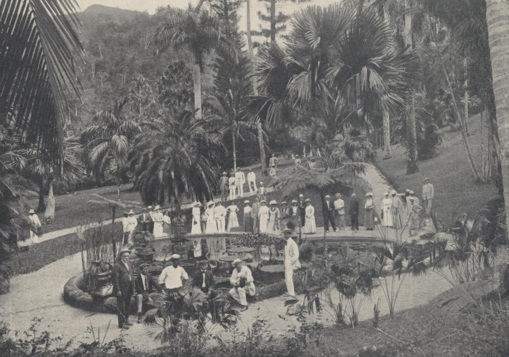 Well dressed staff of the United Fruit Company pose for their picture in Jamaica, around the 1910s