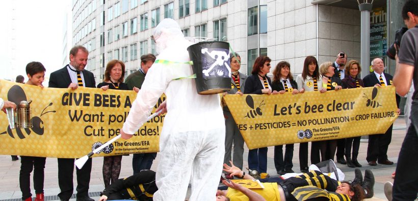 Green MEPs at a die-in of Bees and Bee keepers in front of the pesticide industry lobby "Bee Garden", at the European Parliament in Brussels. The evidence indicates that pesticides such as neonicotinoids are responsible for the mass die off of Bees. (Photo: greensefa)