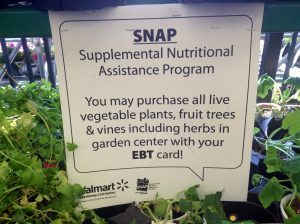 Snap EBT Card Food Assistance Walmart buy vegetable plants and Fruit Trees 7/2014. Pics by Mike Mozart