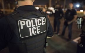 U.S. Immigration and Customs Enforcement (ICE) Officers. (Photo: U.S. ICE)