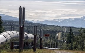 The Oil Pipeline in the interior of Alaska. Date: 25 July 2018. (Photo: Gillfoto)