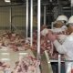 Workers at the Sam Kane beef slaughterhouse in Corpus Christi, Texas on June 10, 2008 dissect, sort and separate beef parts. U.S. Department of Agriculture (USDA) Food Safety and Inspection Service (FSIS) inspectors are on site to ensure the beef is processed in accordance with USDA FSIS regulations.