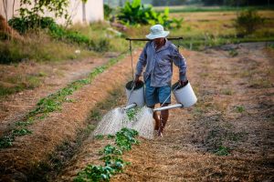 The prices farmers receive for crops do not cover all the costs of keeping farms viable, not to mention the extra costs of ecological or regenerative farming systems. The farm crisis is not over