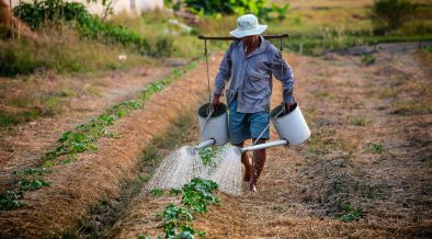 How to Solve the Big Problems That Small Family Farms Are Facing ...