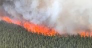 A crown fire (a forest fire that spreads from treetop to treetop) that is part of the Swan Lake wildfire rages through a stand of black spruce in a boreal forest in Alaska on June 19, 2019. In Alaska and Greenland, record or near-record high temperatures have contributed to the upsurge in wildfires.