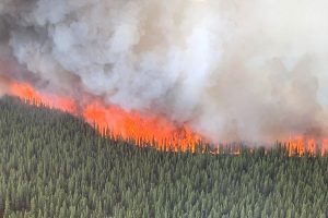 A crown fire (a forest fire that spreads from treetop to treetop) that is part of the Swan Lake wildfire rages through a stand of black spruce in a boreal forest in Alaska on June 19, 2019. In Alaska and Greenland, record or near-record high temperatures have contributed to the upsurge in wildfires.