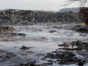 View of the Tennesse Valley Authority's Kingston Fossil Plant toxic coal ash spill in December 2008, appx. 1 mile from the retention pond. The pile of ash in the photo is 20-25 feet high, and stretches for two miles or so along this inlet (the inlet empties into the Emory River).