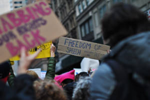 "Freedom of Speech Includes The Press" - Women's March in New York, January 21, 2017.