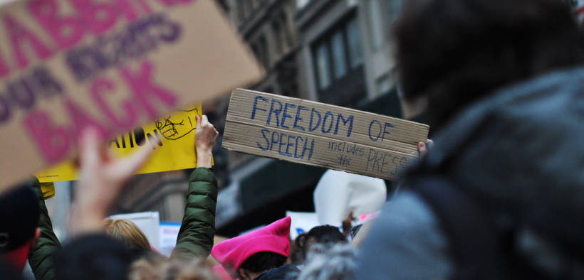 "Freedom of Speech Includes The Press" - Women's March in New York, January 21, 2017.
