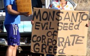 Members of Occupy Wall Street Maui protesting at Monsanto in Kihei. Date: January 28, 2012. (Photo: Viriditas)