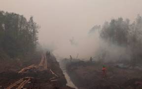In many areas, drainage canals have lowered the water table enough to make peat swamp forests susceptible to fires. In the absence of human activity, Indonesia’s climate is wet enough that wildfires would not occur. Here, workers respond to fire near a drainage canal as smoke obscures trees in the background.