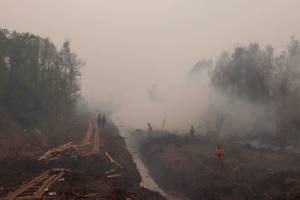 In many areas, drainage canals have lowered the water table enough to make peat swamp forests susceptible to fires. In the absence of human activity, Indonesia’s climate is wet enough that wildfires would not occur. Here, workers respond to fire near a drainage canal as smoke obscures trees in the background.