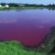 Factory farms contain animal waste in massive open-air lagoons that run the risk of leaking and breaking, contaminating surrounding air and water. (Photo credit: Bob Nichols, USDA Natural Resources Conservation Service/Wikimedia Commons)
