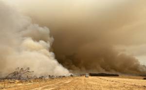 Firefighters battle wildfires on Kangaroo Island. Australia's third largest island sits southwest of Adelaide in the state of South Australia. Australian wildfires have been burning since September 2019. (Photo: robdownunder)