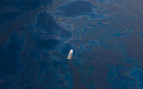 Deepwater Horizon Oil Spill Gulf of Mexico