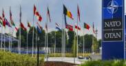 NATO Summit in Brussels 29510554308
